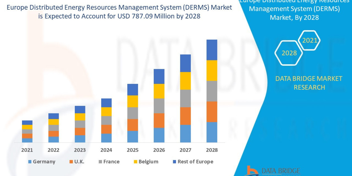 Europe Distributed Energy Resources Management System (DERMS) Market Trends and Strategic Outlook