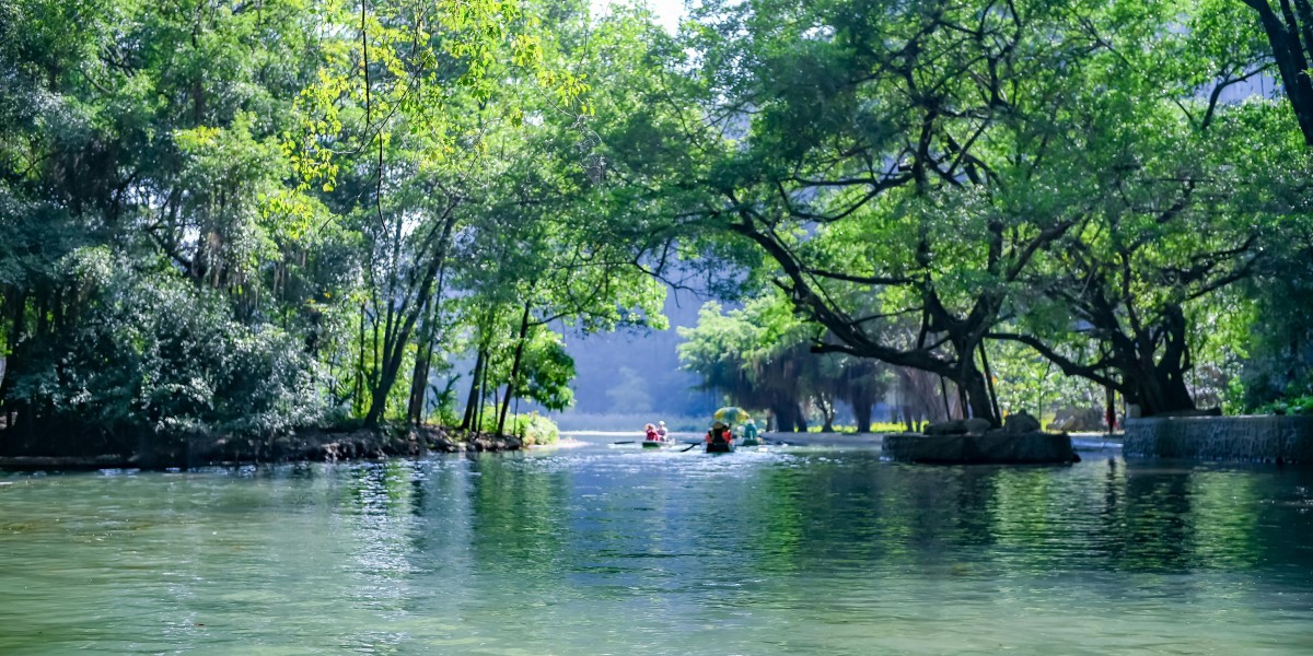 u4gm How to Start the New PoE 2 Druid League Guide