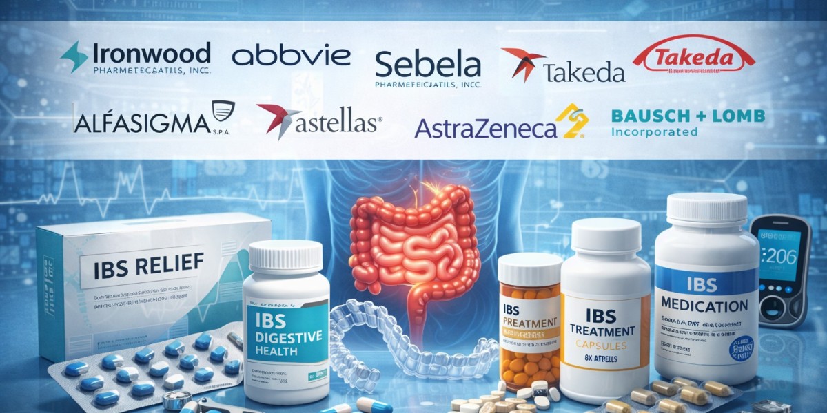 Irritable Bowel Syndrome (IBS) Treatment Market: Growth Outlook, Trends, and Strategic Insights