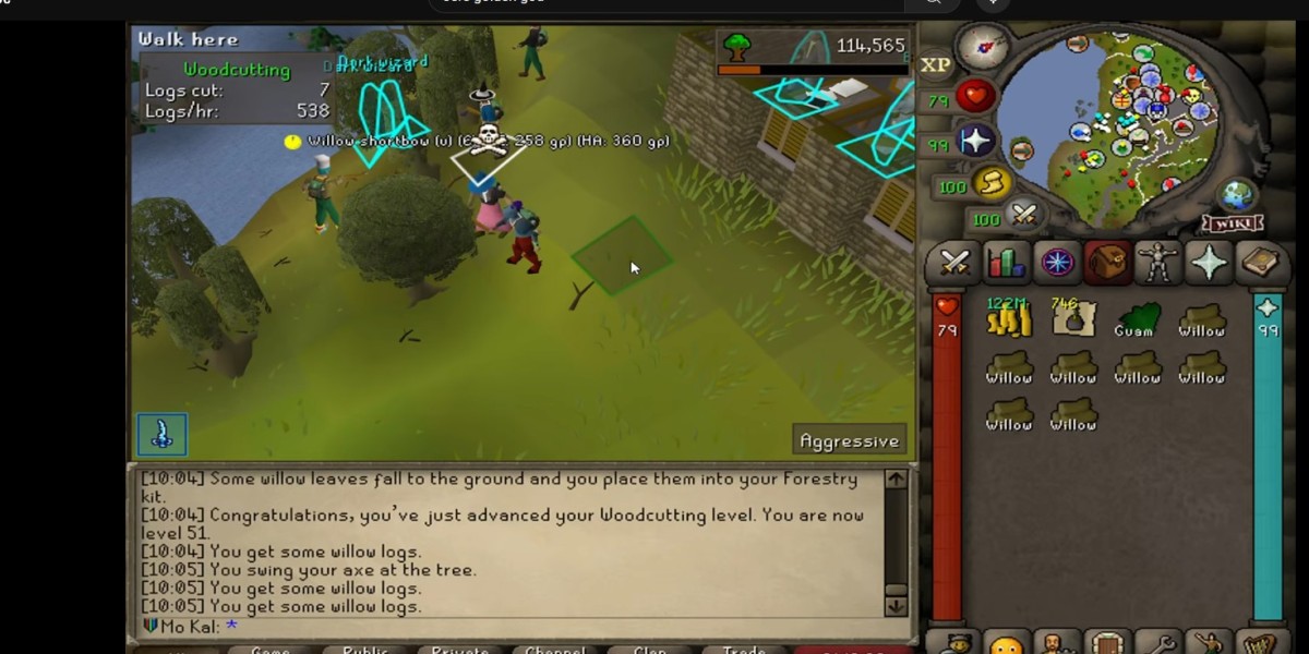 rsgoldfast OSRS: Best Early-Game Quests to Rush