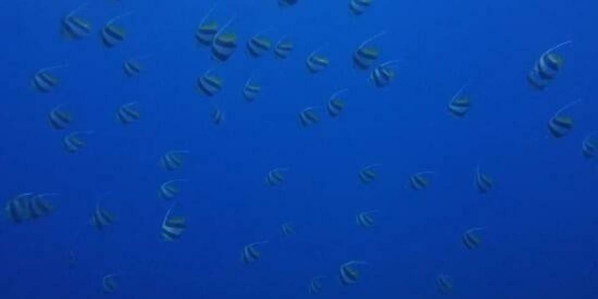 Yuletide Football: This Weekend's Essential Encounters – 20/12/2025